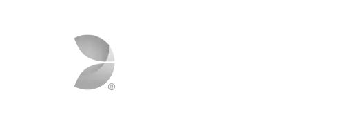 Logo de Evolution, proveedor de juegos de casino en Betovo