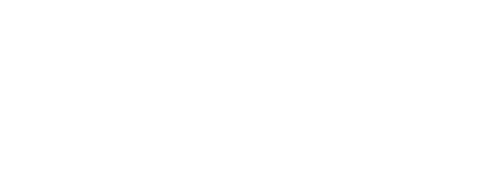 Logo de Platipus, proveedor de juegos de casino en Betovo